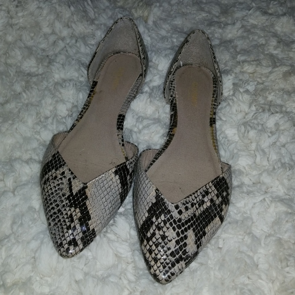 Alligator flats